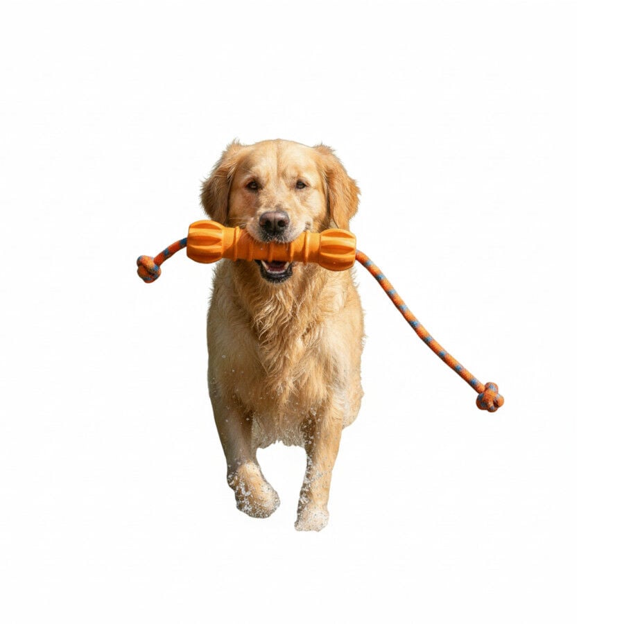 All For Paws Wow Play Juguete Stick Flotante para perros, , large indicador imagen numero 3