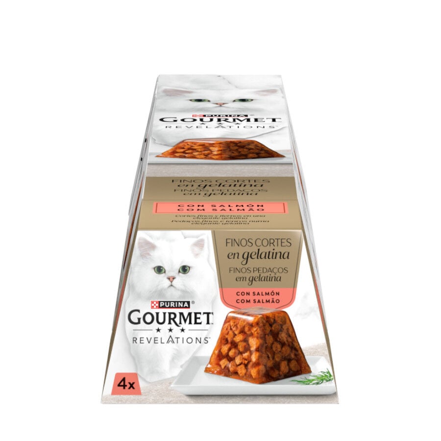 Gourmet Revelations Finos Cortes de Salm&oacute;n en gelatina para gatos