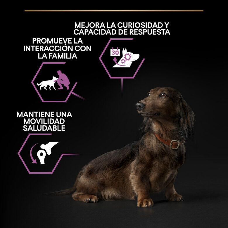 3 kg Pro Plan Adult Small y Mini Pollo pienso para perros S&eacute;nior +9, , large Imagen numero 4