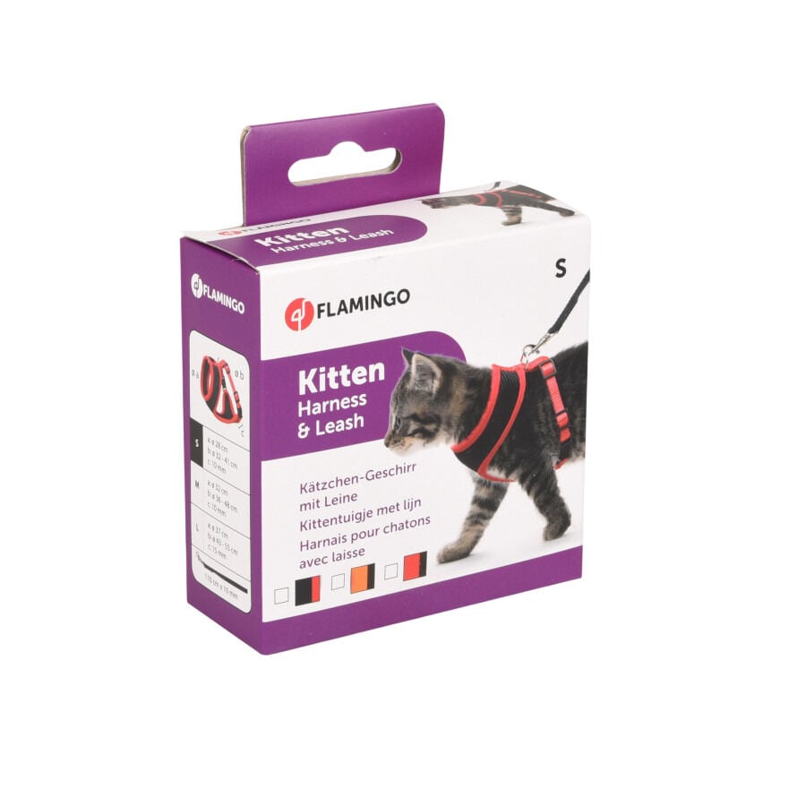 Flamingo Arn&eacute;s con Correa Harms Rojo y Negro para gatitos, , large indicador imagen numero 3