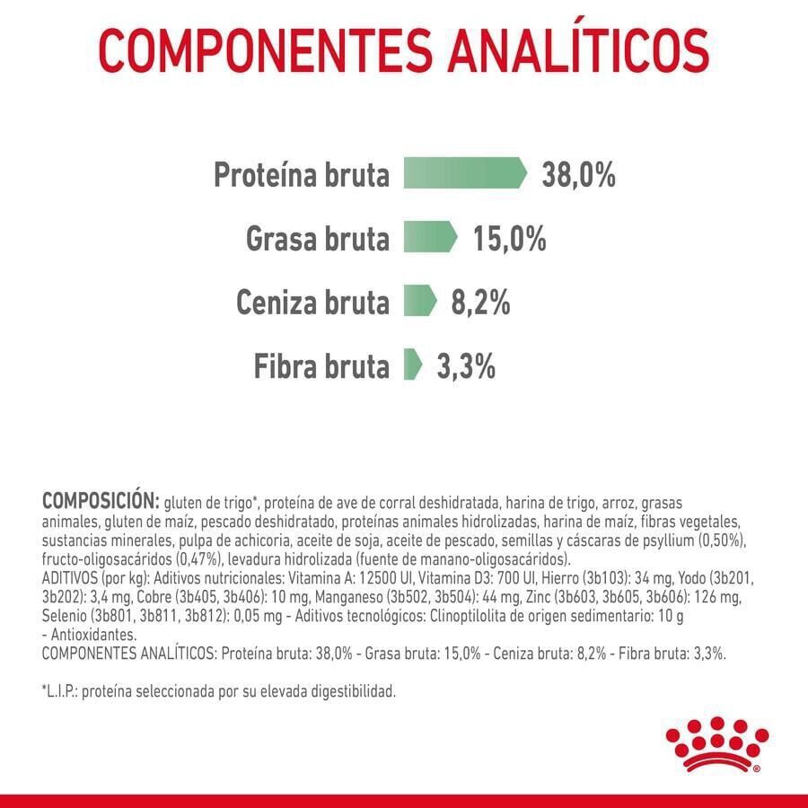 10 kg Royal Canin Adult Digestive pienso para gatos, , large Imagen numero 5