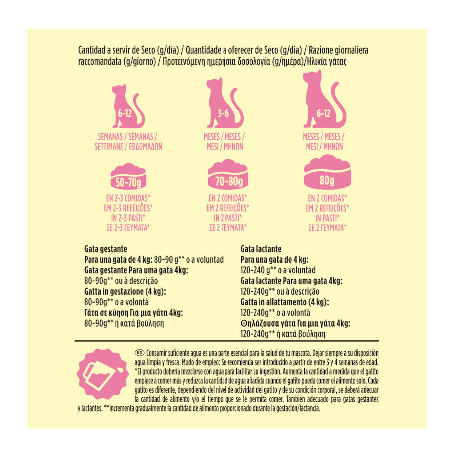 1.5 kg Friskies Junior pienso para gatos , , large indicador imagen numero 5