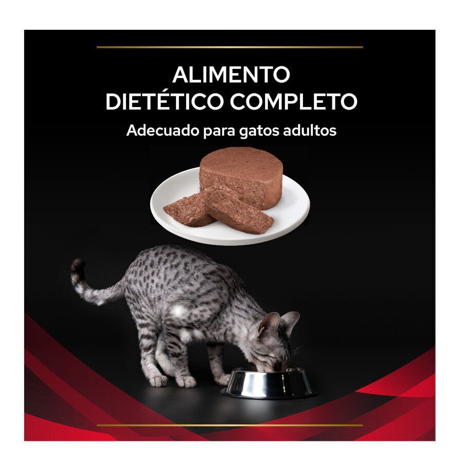 195 g Pro Plan Veterinary Diets Diabetes lata para gatos, , large indicador imagen numero 3