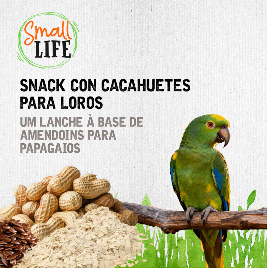 2 barritas Small Life Barritas Snack con cacahuetes para loros, , large indicador imagen numero 4