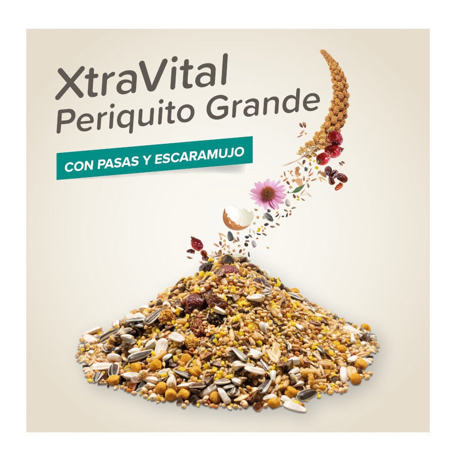 Beaphar XtraVital Mixtura para periquitos grandes, , large indicador imagen numero 2