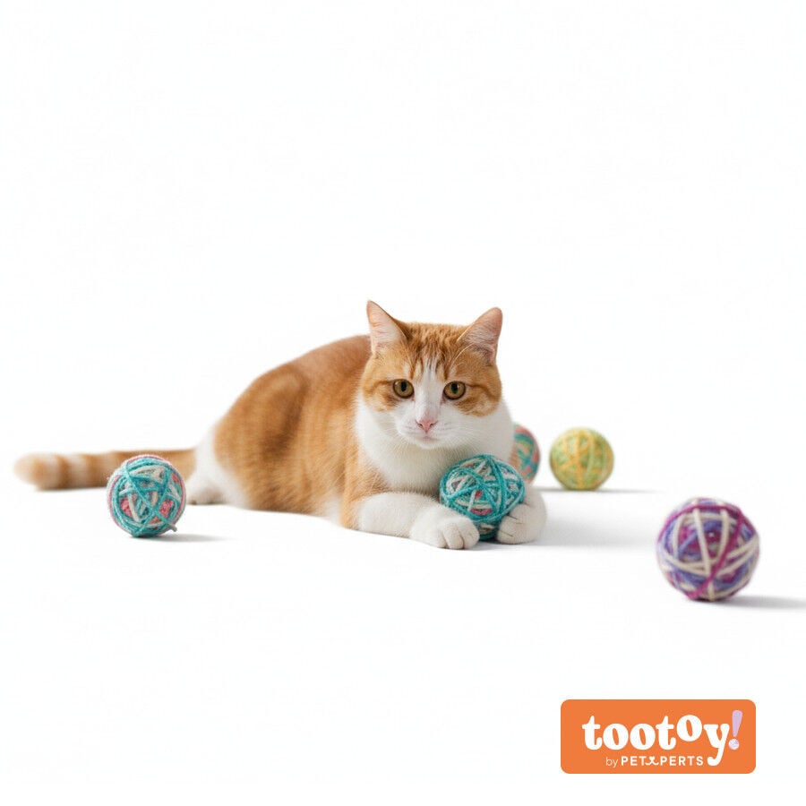 Tootoy! Pack de Ovillos de Lana Coloridos para gatitos, , large Imagen numero 9