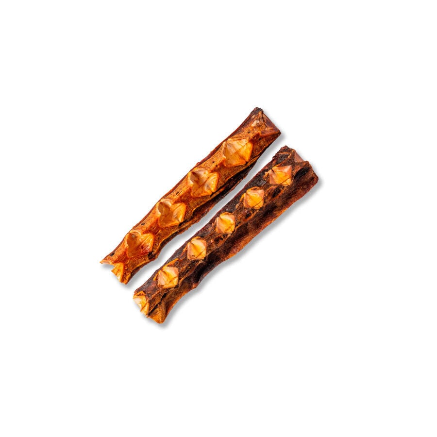 2 uds. True Origins Hueso de At&uacute;n Grande Snack para perros, , large indicador imagen numero 3