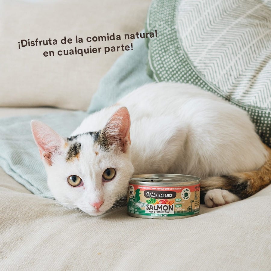 120 g Wild Balance BARF Salm&oacute;n y Ternera lata para gatos, , large indicador imagen numero 5