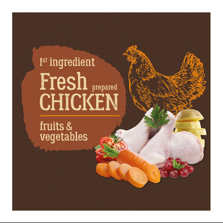 12 kg True Origins Pure Adult Pollo No Grain pienso para perros, , large indicador imagen numero 3