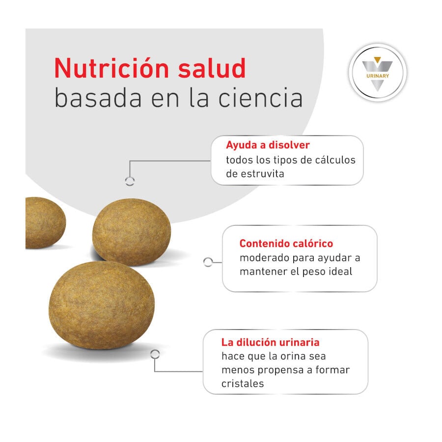 9 kg Royal Canin Veterinary Urinary S/O Moderate Calorie pienso para gatos, , large indicador imagen numero 6