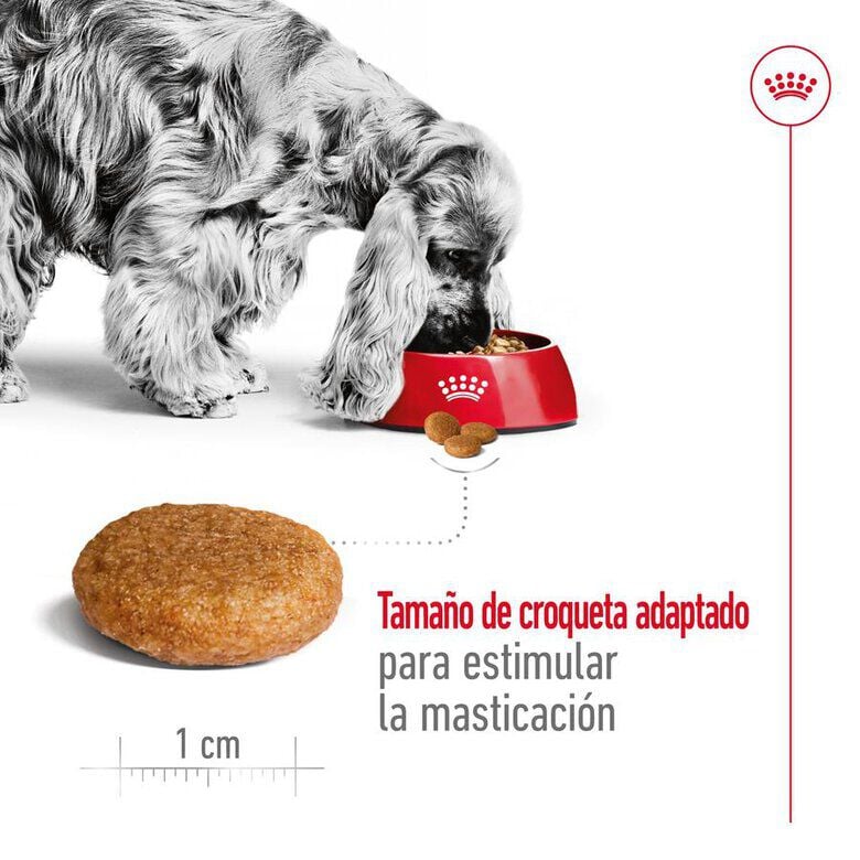 18 kg (15 + 3 kg &iexcl;gratis!) Royal Canin Medium Adult pienso para perros, , large Imagen numero 7