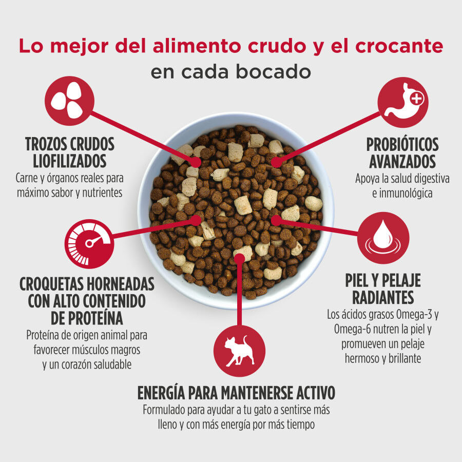 2 kg Nulo Raw Medley Pienso Salm&oacute;n Pollo y Pavo para gatos, , large indicador imagen numero 2