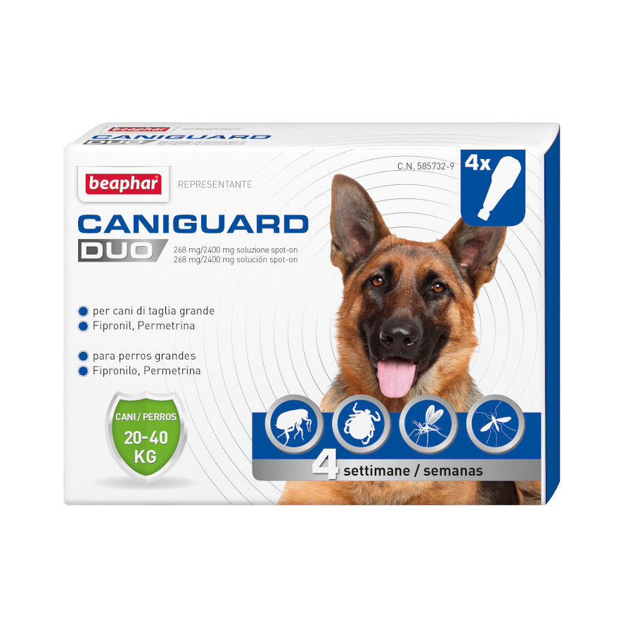 Beaphar Caniguard Duo Pipetas Antiparasitarias para perros grandes, , large indicador imagen numero 1
