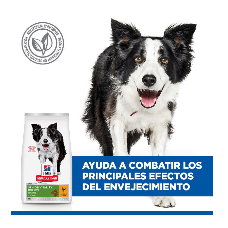 14 kg Hill's Science Plan Youthful Vitality Medium Adult Pollo&nbsp;pienso para perros, , large Imagen numero 6