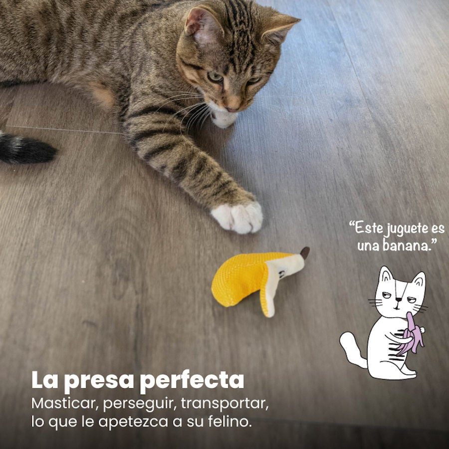 Catstages Dental Peluche Banana para gatos, , large indicador imagen numero 6
