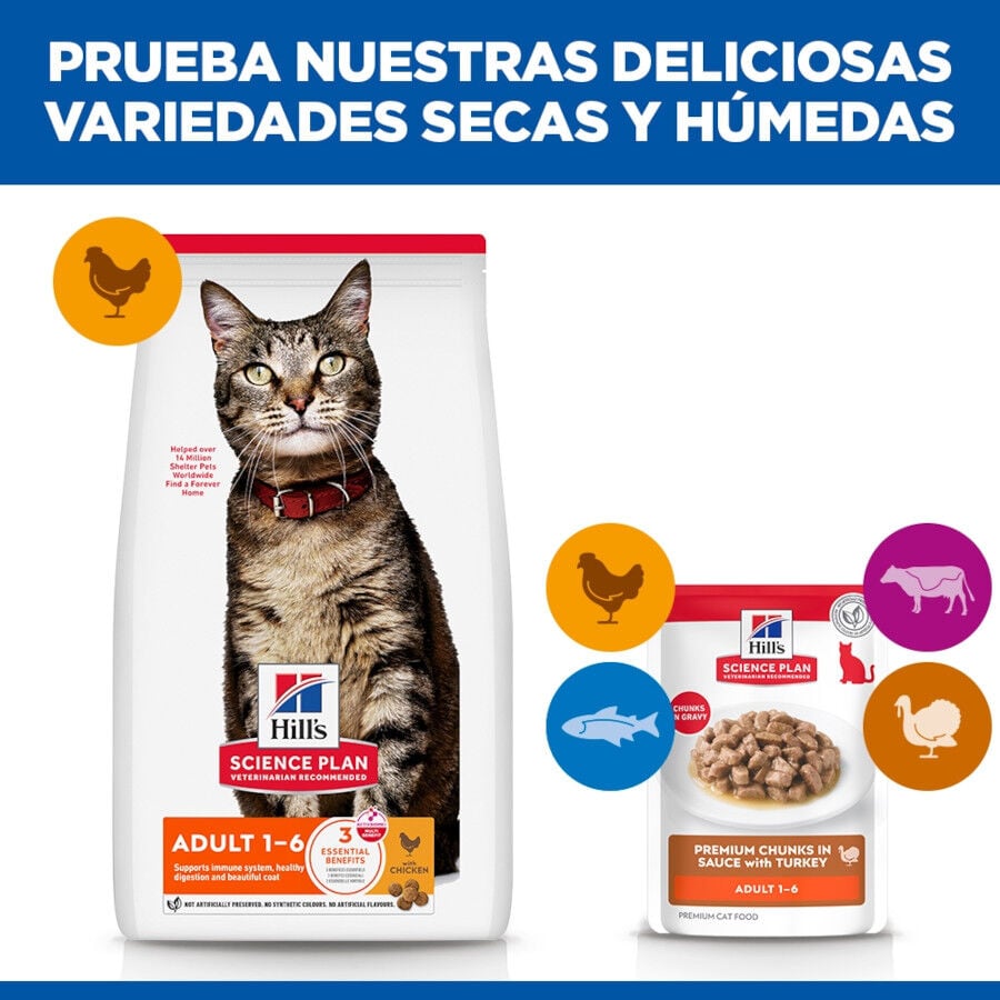 85 g Hill's Science Plan Adult Pavo sobre para gatos, , large indicador imagen numero 6