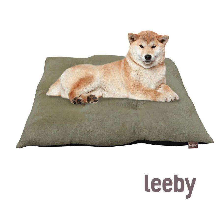 Leeby Coj&iacute;n Acolchado de Terciopelo Verde para perros, , large indicador imagen numero 2