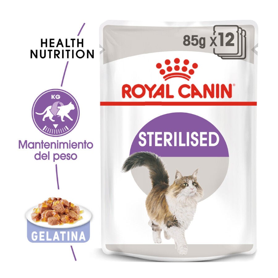 85 g Royal Canin Sterilised gelatina sobres para gato, , large Imagen numero 1