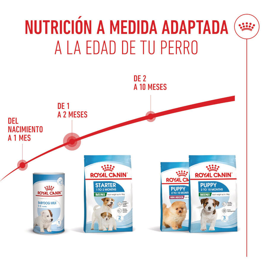 4 kg Royal Canin Starter MotheryBaby Mini pienso para perros, , large indicador imagen numero 7