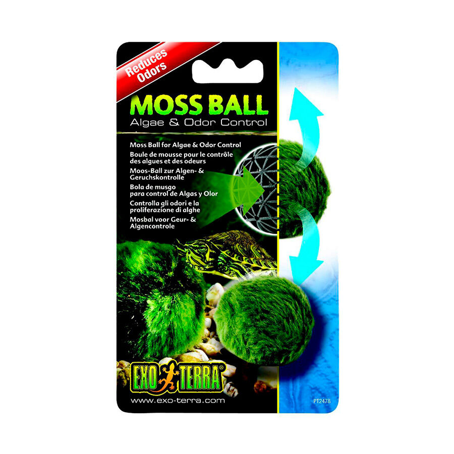 Exo Terra Bola de Musgo para tortugueras , , large Imagen numero 1