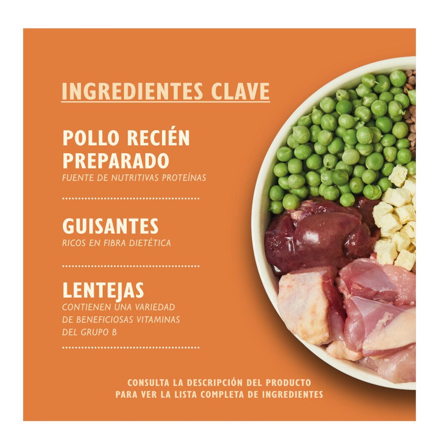 12 kg Lily's Kitchen Adult Pollo y Pato pienso para perros, , large Imagen numero 2