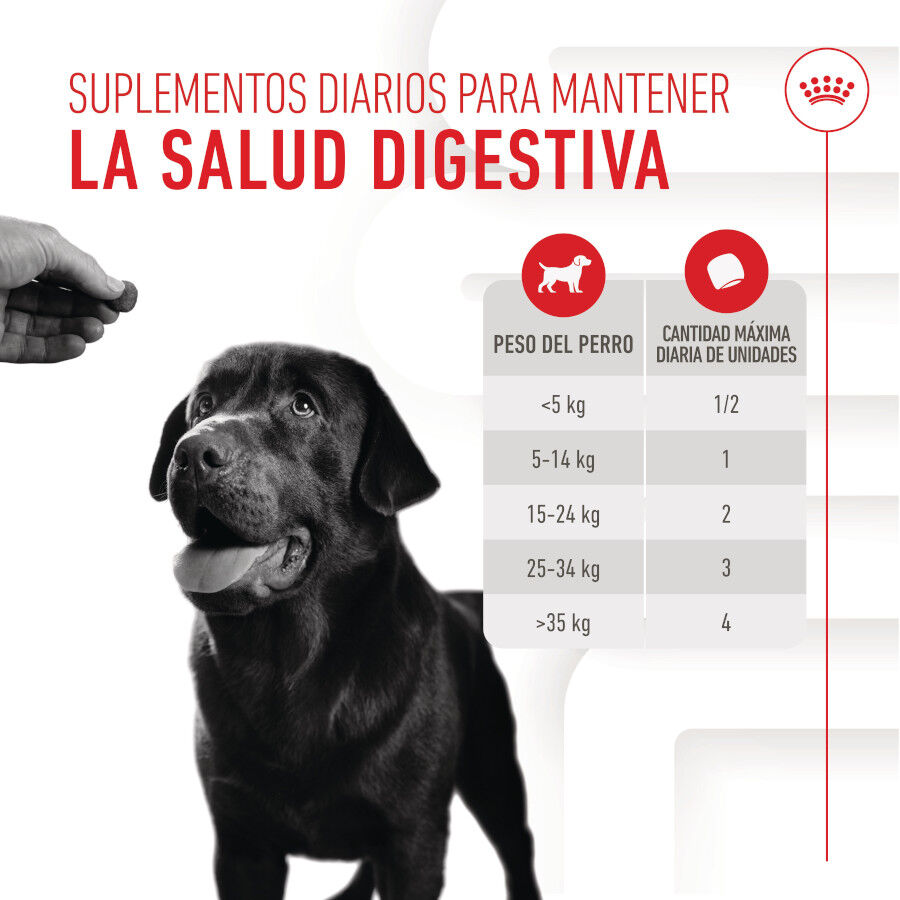 160 g Royal Canin Digestion Chews Suplemento Nutricional para perros con sensibilidad, , large Imagen numero 5