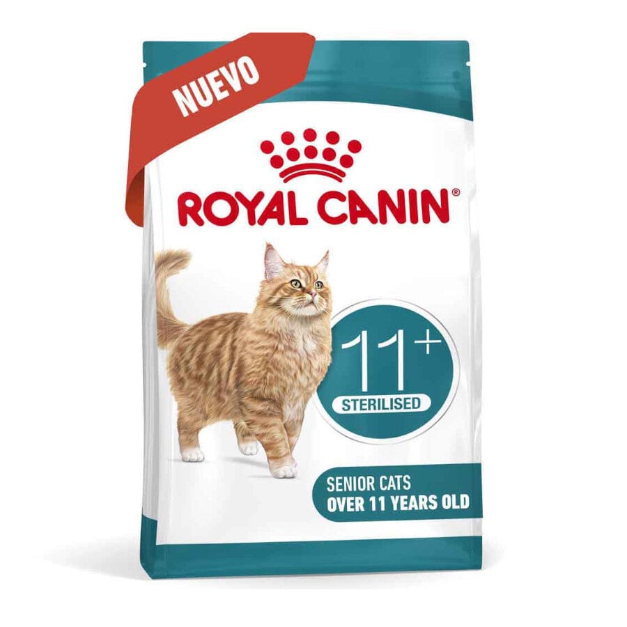 4 kg Royal Canin Ageing 11+ Sterilised pienso para gatos&nbsp;senior, , large indicador imagen numero 2