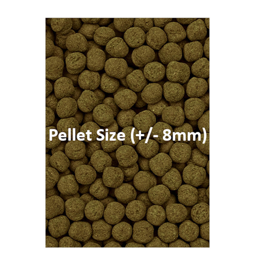 Ocean Nutrition Formula Two Marine Pellet para peces tropicales, , large indicador imagen numero 2
