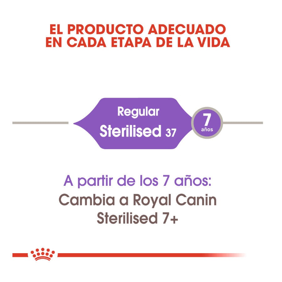 10 kg Royal Canin Regular Sterilised 37 pienso para gatos, , large indicador imagen numero 4