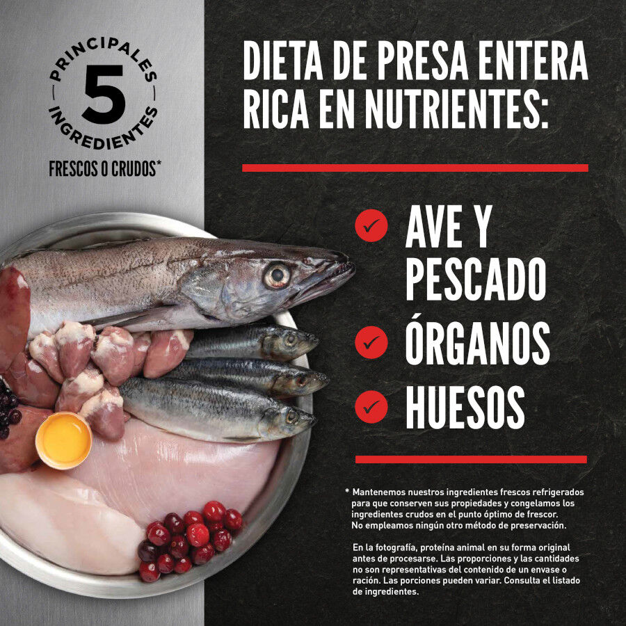 Orijen Tundra Pienso Seco Cordero y Ciervo para perros, , large indicador imagen numero 3