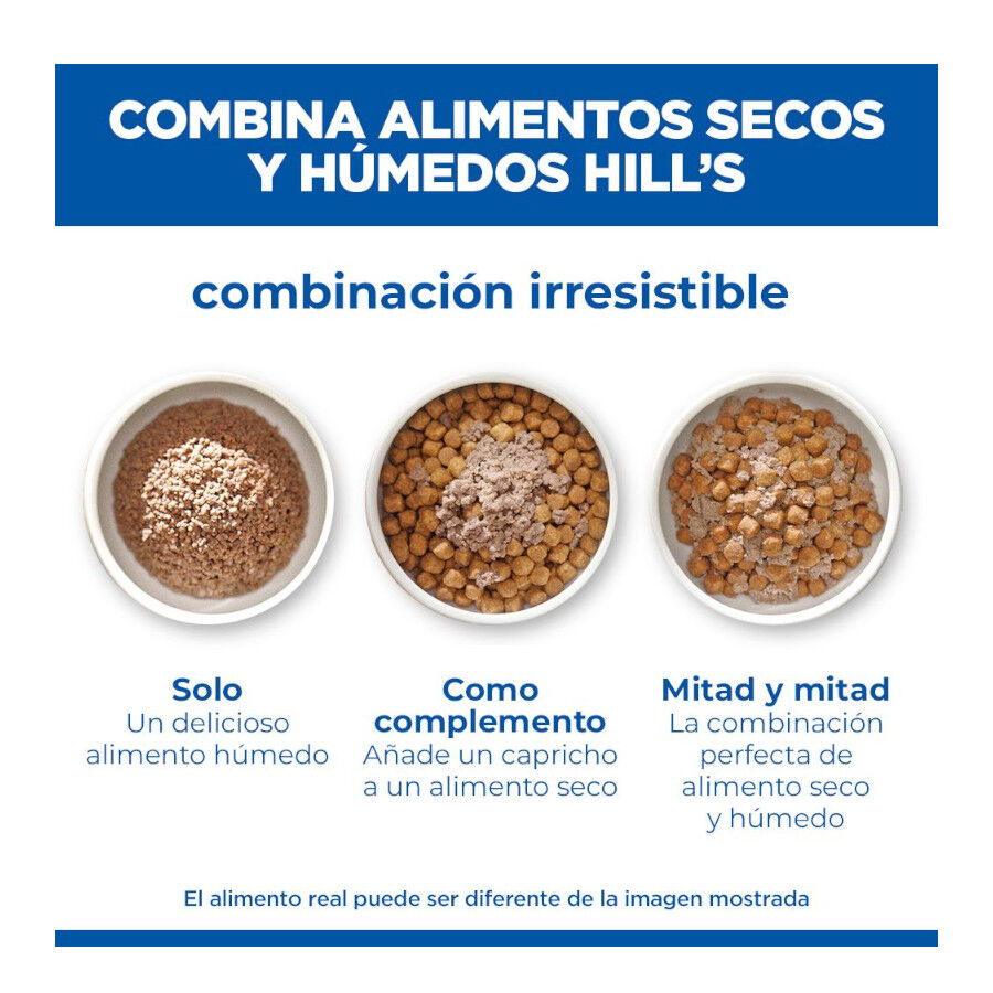 363 g Hill's Science Plan Hypoallergenic Alimento H&uacute;medo con Salm&oacute;n para Perros Adultos, , large indicador imagen numero 6