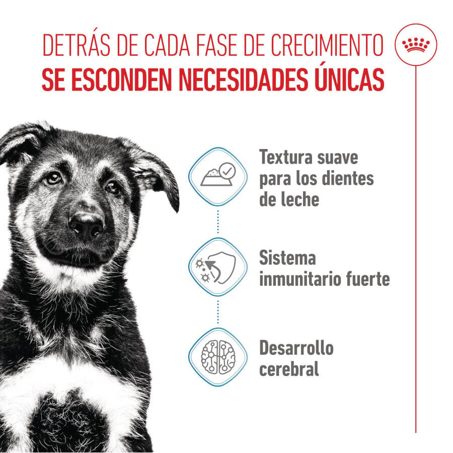 140 g Royal Canin H&uacute;medo Maxi Puppy, , large indicador imagen numero 3