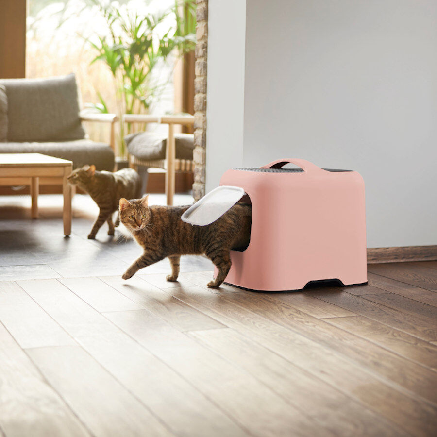 Rotho Biala Eco Arenero Rosa para gatos, , large Imagen numero 2