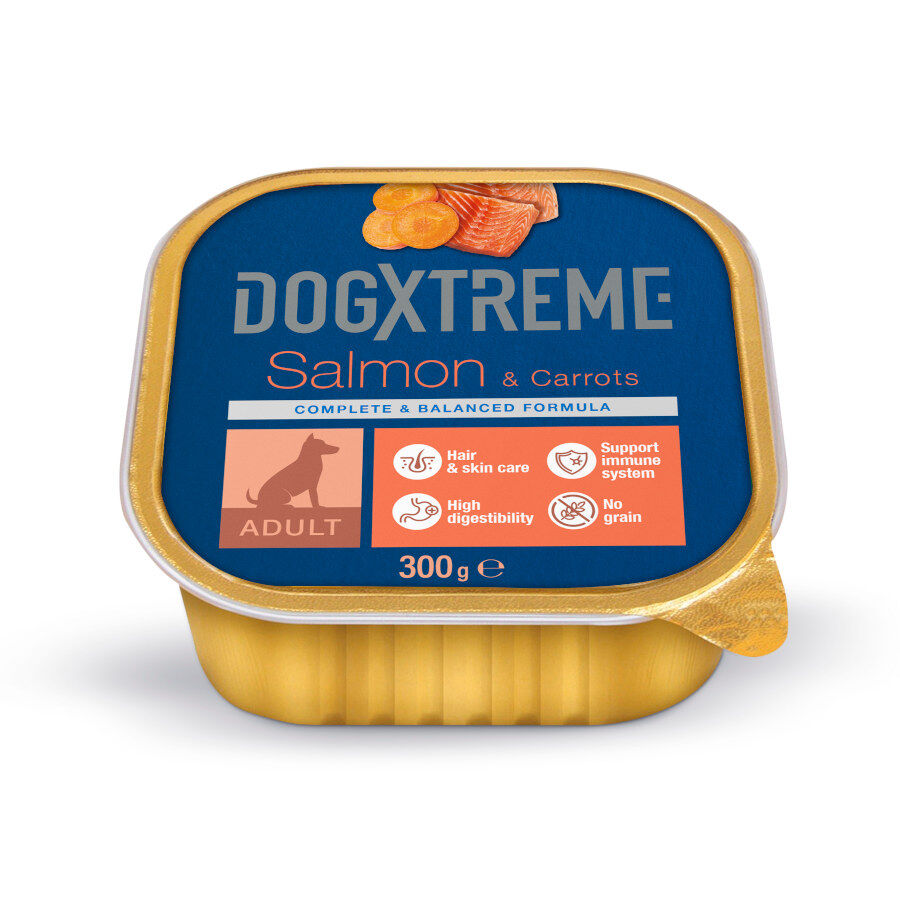 Dogxtreme Adult Salm&oacute;n y Zanahorias tarrina para perros