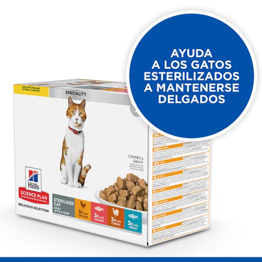 12 sobres x 85 g Hill's Science Plan Sterilised Adult Pollo y Salm&oacute;n en Salsa sobre para gatos, , large Imagen numero 3