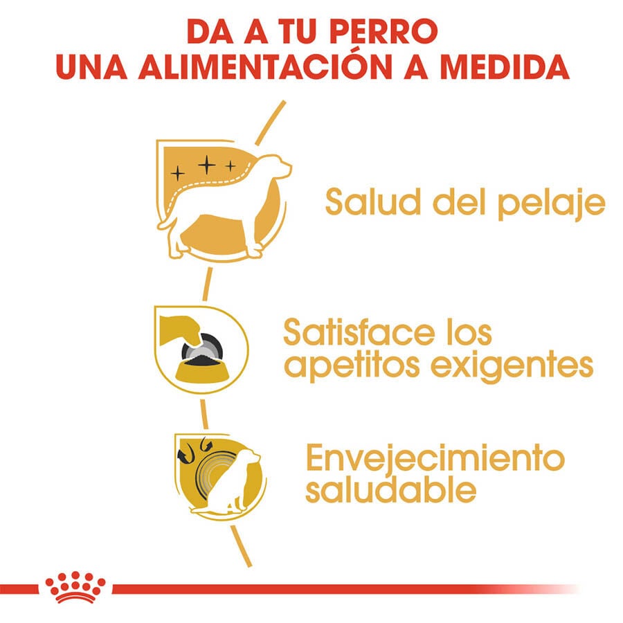 7.5 kg Royal Canin Adult Yorkshire Terrier pienso para perros, , large Imagen numero 5
