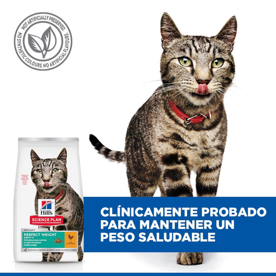 7 kg Hill's Science Plan Perfect Weight Adult pollo pienso para gatos, , large Imagen numero 6