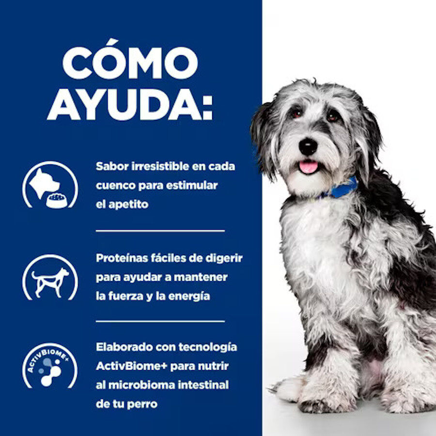 354 g Hill's Prescription Diet ON-Care Estofado de Pollo y Vegetales lata para perros, , large Imagen numero 3