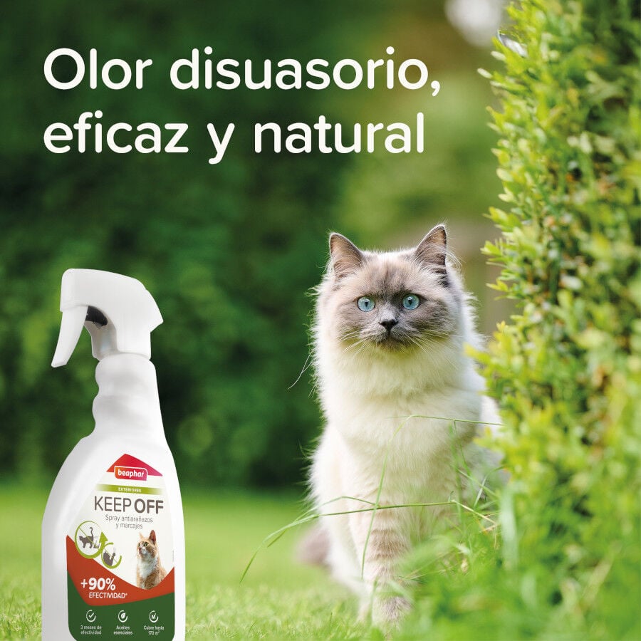 Beaphar Spray Educador Exteriores para Gatos, , large Imagen numero 9