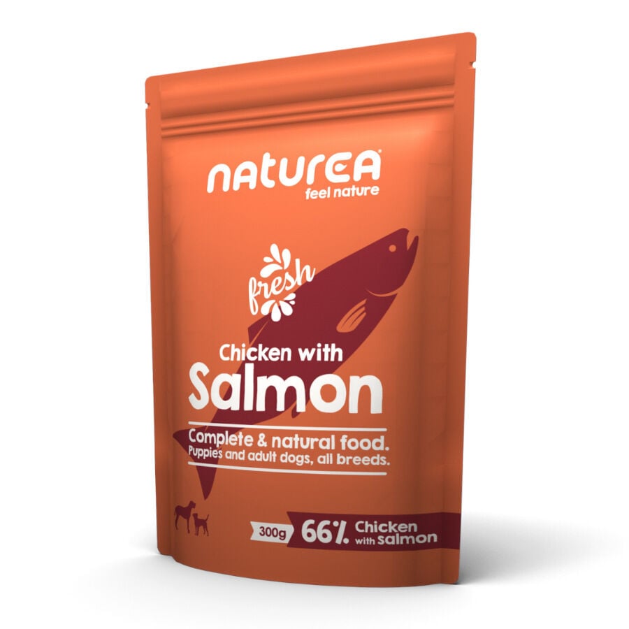 300 g Naturea Pollo y Salm&oacute;n sobre para perros, , large Imagen numero 1
