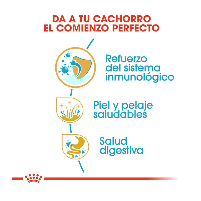 1.5 kg Royal Canin Puppy Shih Tzu pienso para perros, , large indicador imagen numero 4