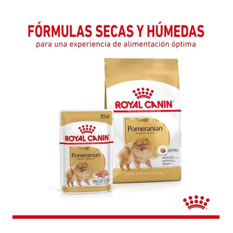 3 kg Royal Canin Pomeranian Adult pienso para perros, , large Imagen numero 4