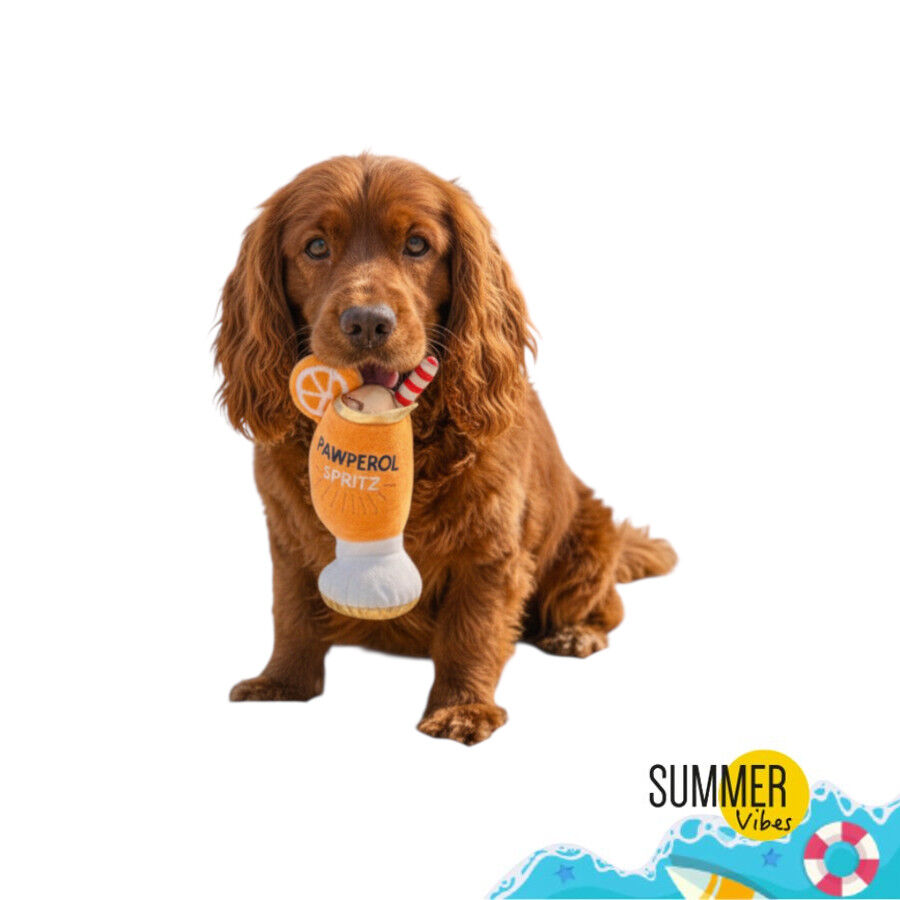 Summer Vibes Pawperol Spritz Peluche Juguete para perros
