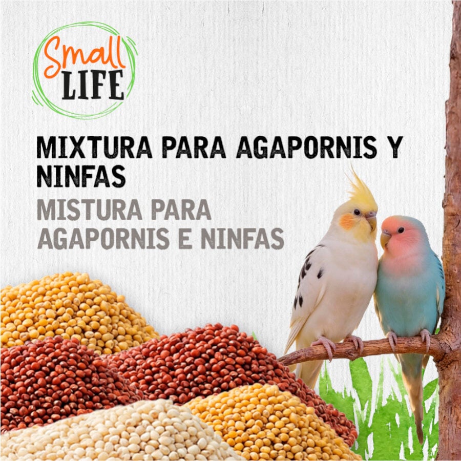 3.7 kg Small Life Mixtura Cubos para agapornis y ninfas, , large Imagen numero 3