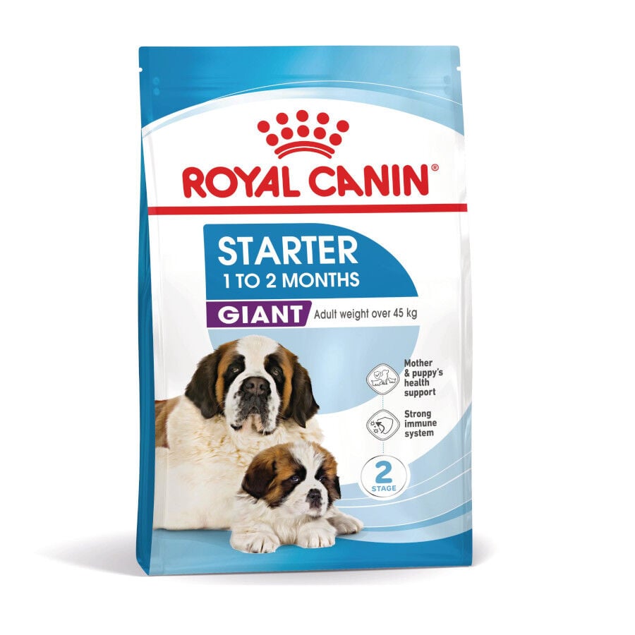 15 kg Royal Canin Starter Puppy Giant Pienso para perros, , large indicador imagen numero 2