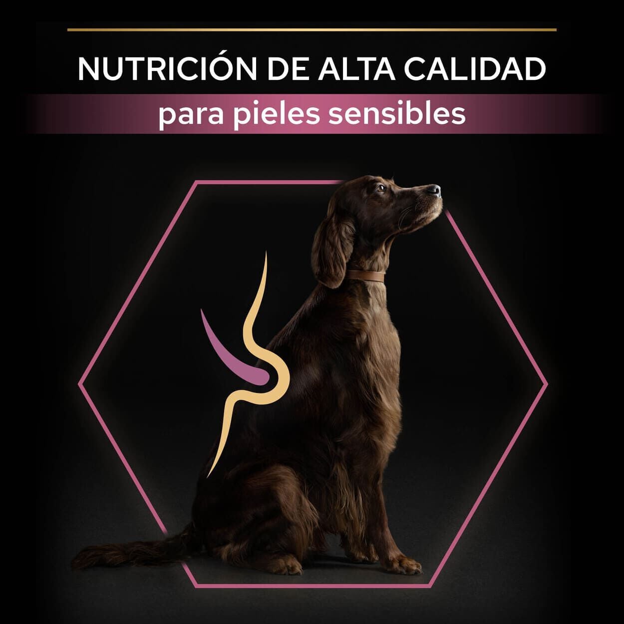 14 kg Pro Plan Large Athletic Adult Salm&oacute;n piel sensible pienso para perros, , large Imagen numero 8