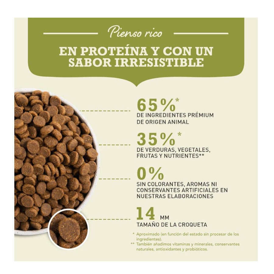 11.4 kg Acana Adult Light y Fit pienso para perros, , large Imagen numero 6