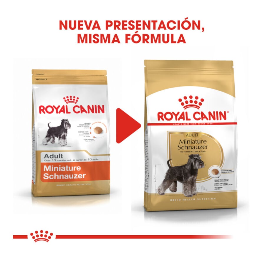 3 kg Royal Canin Adult Miniature Schnauzer pienso para perros, , large Imagen numero 3