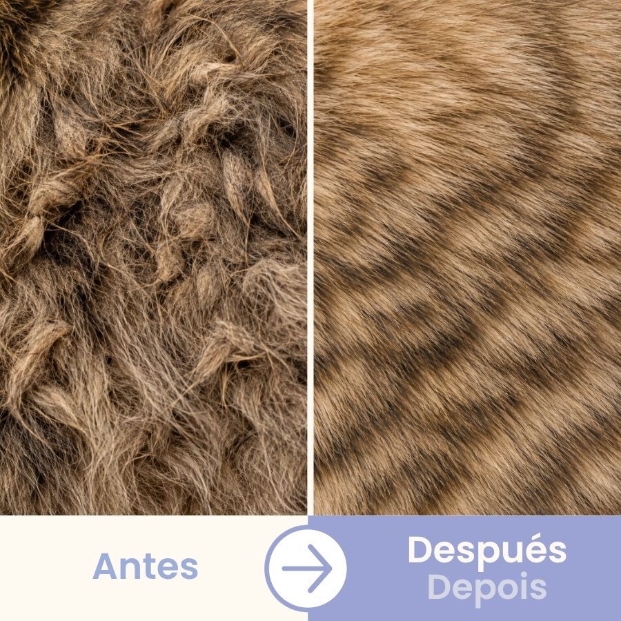 Bloob Peine Antipulgas para gatos, , large indicador imagen numero 5