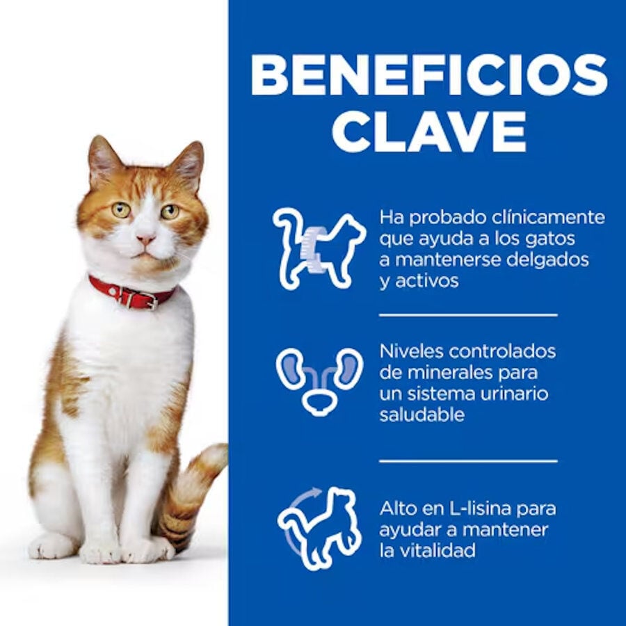 12 sobres x 85 g Hill's Science Plan Sterilised Adult Pollo y Salm&oacute;n en Salsa sobre para gatos, , large indicador imagen numero 2